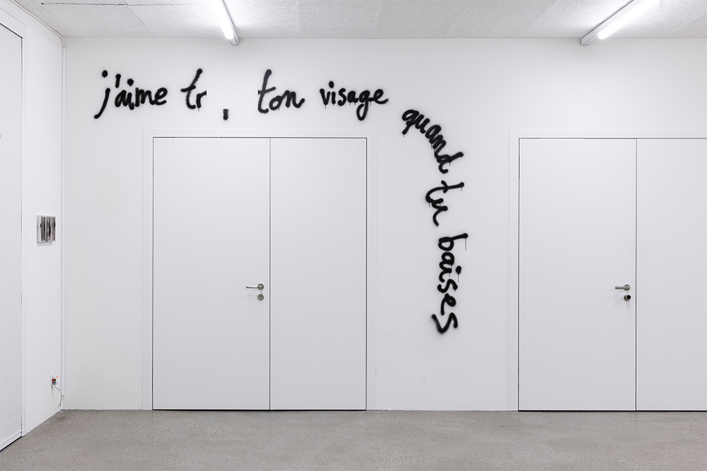 7. Exhibition View Group Show « All my loved ones like to fight; view on Mahalia Taje Giotto, Existential Boner, 2023 » at CALM – Centre d’Art La Meute, Lausanne, 2023 / Photo: Théo Dufloo / Courtesy: the artists and CALM – Centre d’Art La Meute