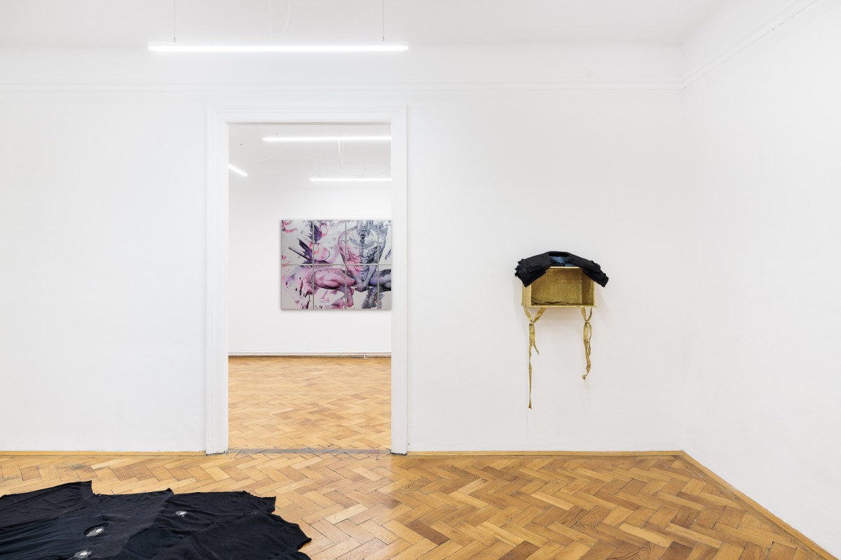 Vue d'exposition, « Above, Below, Between », (g. à d.), Alfredo Aceto, Mahalia Taje Giotto, Lukas Kaufmann, CALM – Centre d’Art La Meute invité par UA26, Vienne, Autriche, 2026 / Photo ©kunst-dokumentation.com / Manuel Carreon Lopez / Courtoisie des artistes / Curaté par Oriane Emery & Jean-Rodolphe Petter.