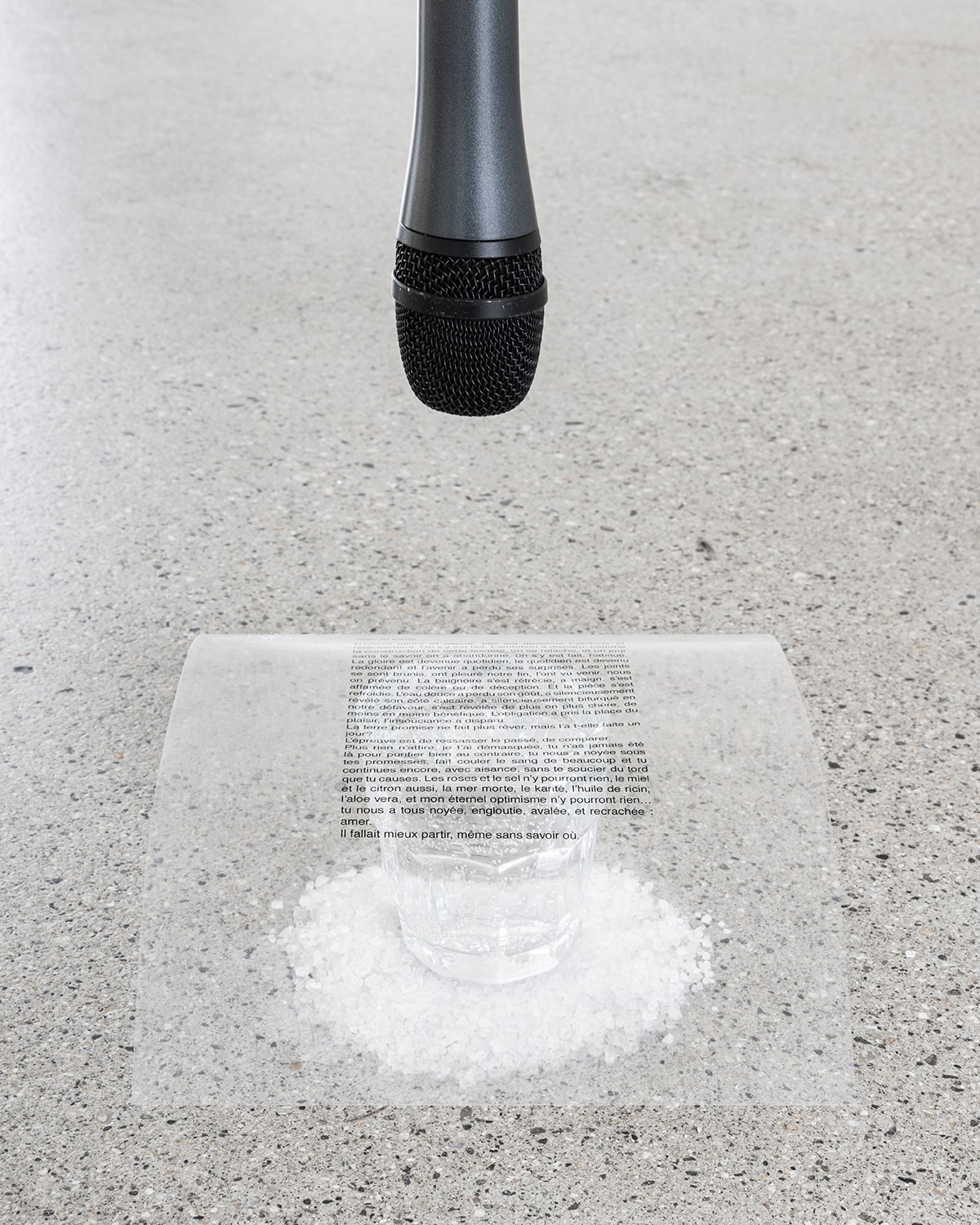 Vue d’exposition, « Towards an Affiniy of Hammers », Monika Emmanuelle Kazi, <em>eaux et atopie</em>, 2019, dimensions variables, verres, eau, sel, 4 textes acetates, 4 micros, bande sonore (6 min 26 s), détail, CALM – Centre d’Art La Meute, Lausanne, Suisse, 2025 / Photo: Théo Dufloo / Courtoisie de l’artiste / Curaté par Théo-Mario Coppola et Oriane Emery & Jean-Rodolphe Petter.